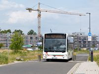 Foto des Monats Juni 2025