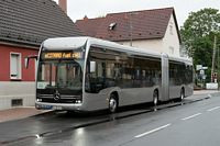 Foto des Monats Dezember 2025