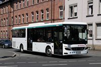 Foto des Monats August 2026